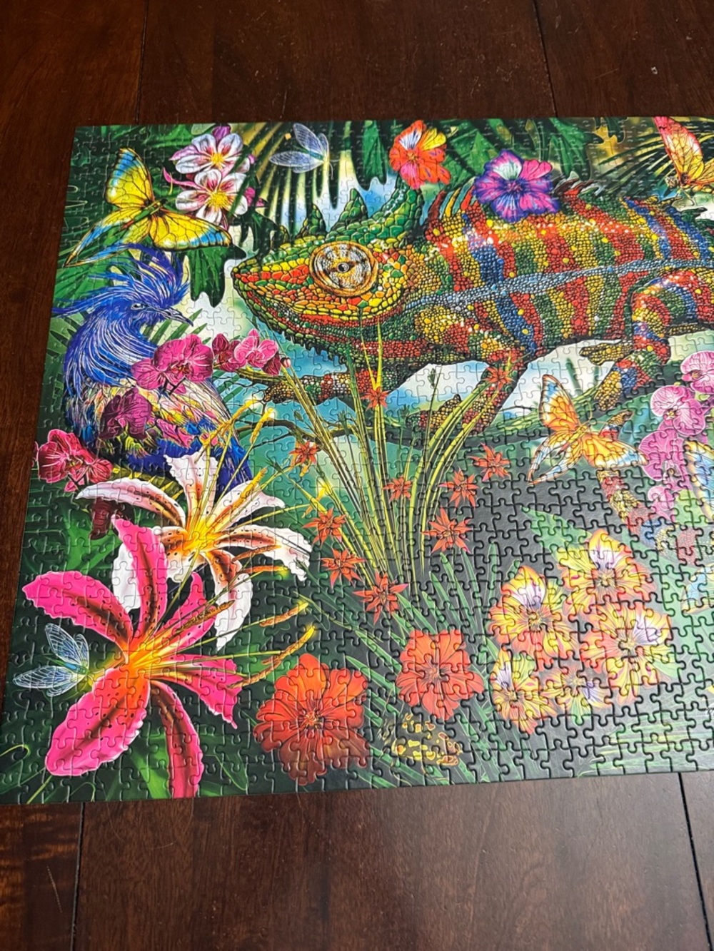 Castorland 1500-Piece Colorful Chameleon Puzzle.  Complete.  Excellent condition - Picture 5 of 8